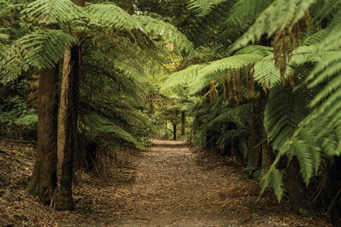 William Ricketts Sanctuary - Accommodation Port Macquarie 2