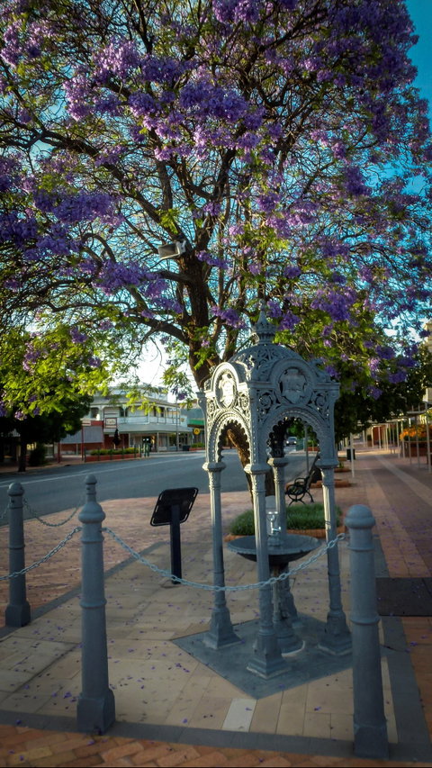 Witcombe Fountain - Accommodation Port Macquarie 0