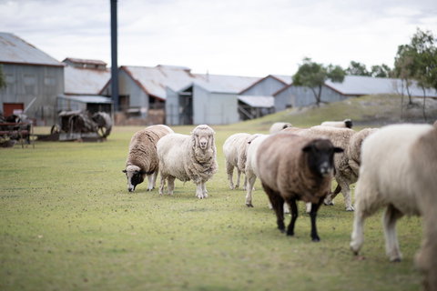 14 Day Gems Of The Outback - Accommodation Port Macquarie 2