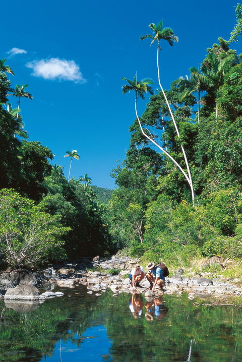 Airlie Beach To Cedar Creek Falls - Accommodation Port Macquarie 1
