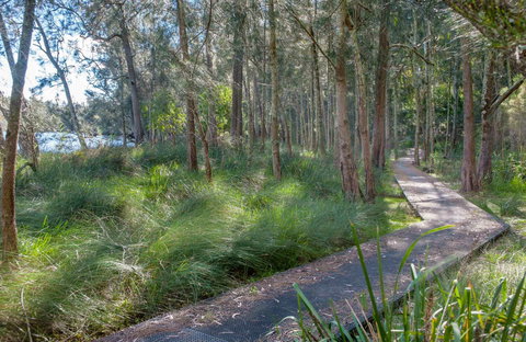 Anabranch Loop Track - Accommodation Port Macquarie 0