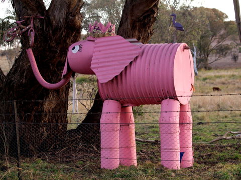 Animals On Bikes - Accommodation Port Macquarie 0