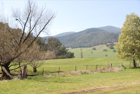 Banimboola Creek Rest Area - Accommodation Port Macquarie 0