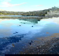 Berrara Creek - Accommodation Port Macquarie