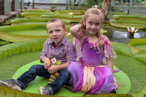 Blue Lotus Water Garden - Accommodation Port Macquarie 2