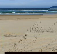 Bongil Beach - Accommodation Port Macquarie