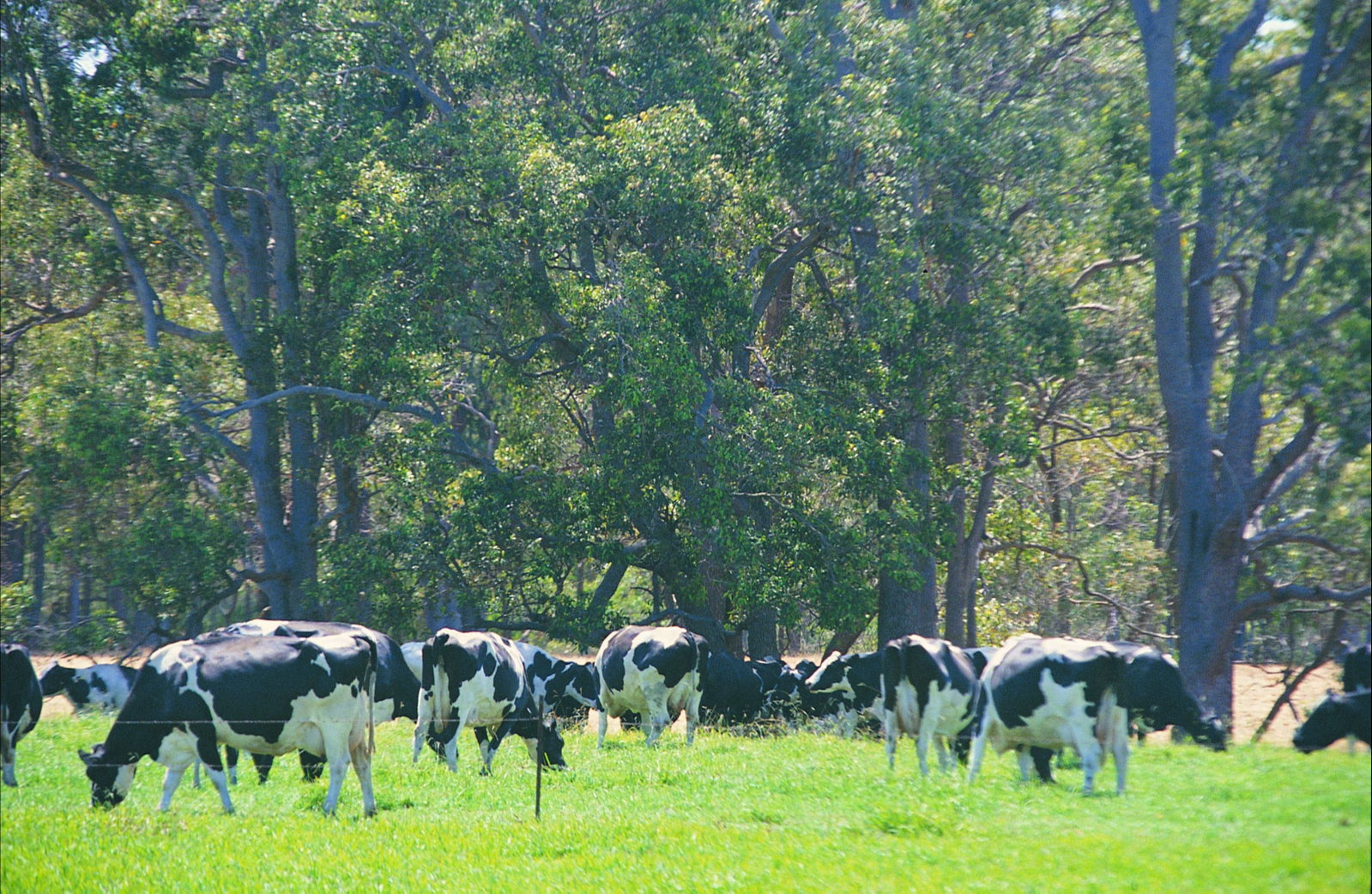 Boyanup WA Accommodation Port Macquarie
