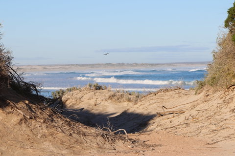 Chadinga Conservation Park - Accommodation Port Macquarie 1