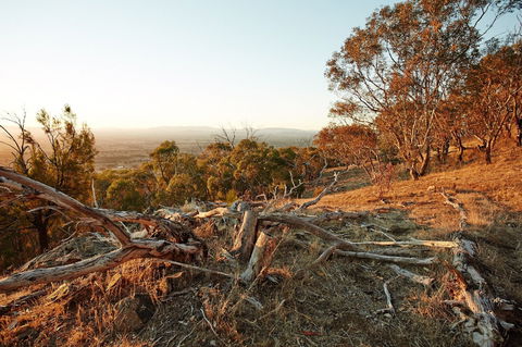 Chick Hill Walk - Accommodation Port Macquarie 0