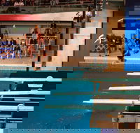 Dive Into History at Sydney Olympic Park Aquatic Centre - Accommodation Port Macquarie