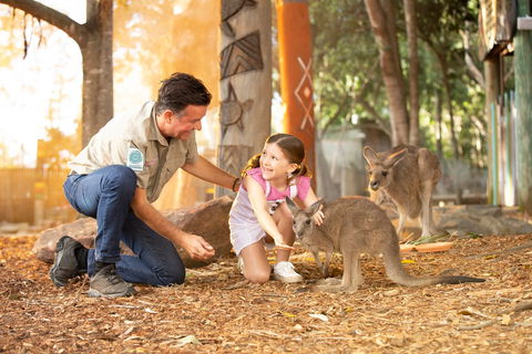 Dreamworld - Accommodation Port Macquarie 2