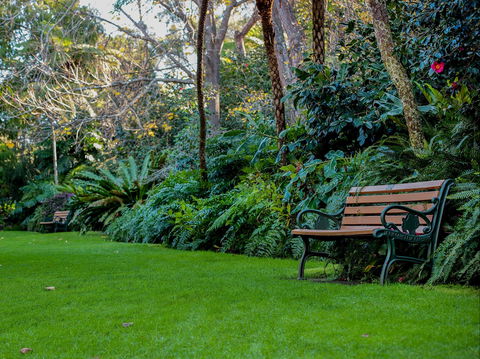 EG Waterhouse National Camellia Gardens - Accommodation Port Macquarie 0
