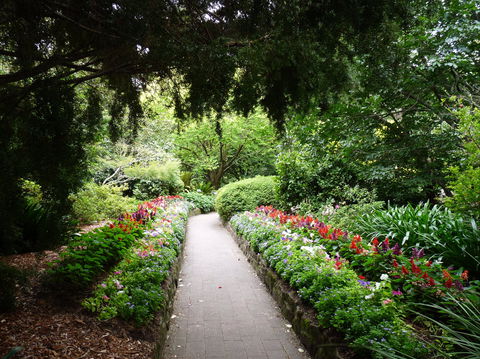 EG Waterhouse National Camellia Gardens - Accommodation Port Macquarie 1