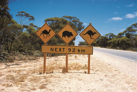 Eyre Highway - Accommodation Port Macquarie 1