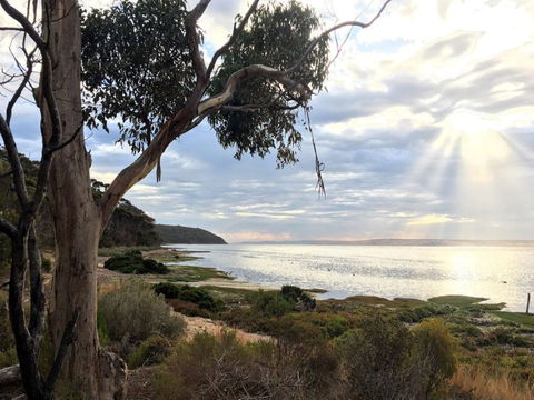 Fish Cannery Walking Trail - Accommodation Port Macquarie 0