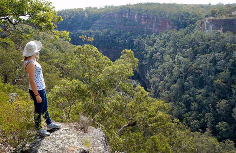 Glenbrook Gorge Track - Accommodation Port Macquarie 0