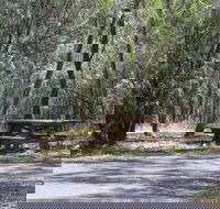 Goonoowigall State Conservation Area - Accommodation Port Macquarie