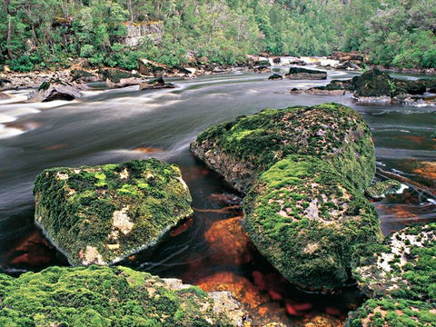 Gordon River - The - Accommodation Port Macquarie 2