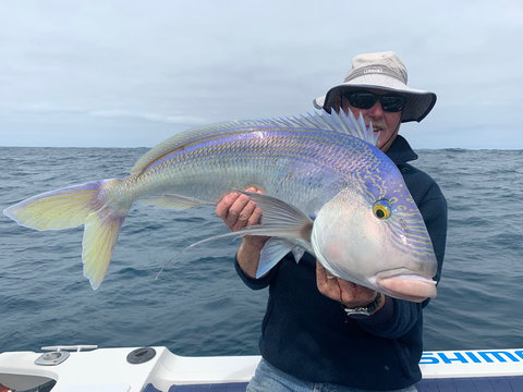 GT Fishing Charters - Accommodation Port Macquarie 1