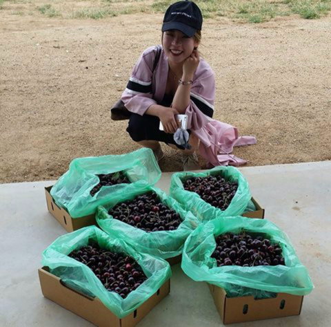 Hall Family Orchards - Accommodation Port Macquarie 1