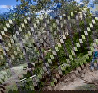 Herring Island Environmental Sculpture Park
