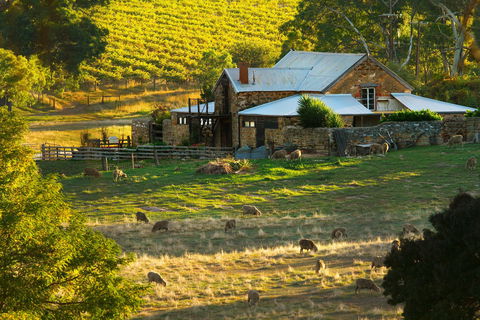 Hutton Vale Farm - Accommodation Port Macquarie 1