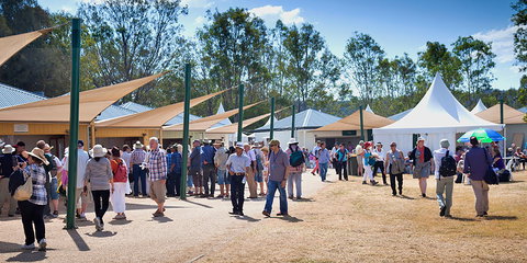 Ivory's Rock Conventions And Events - Accommodation Port Macquarie 2