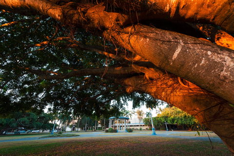 Jubilee Park, Mackay - Accommodation Port Macquarie 0
