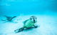 Jurien Bay - thumb 0