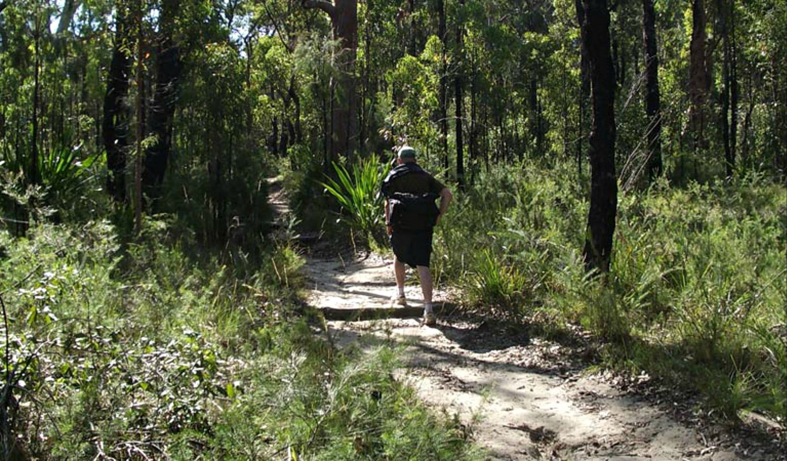 Yarrawarrah NSW Accommodation Port Macquarie
