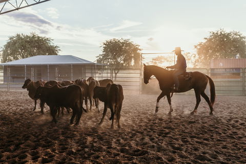 Katherine Outback Experience - Horse Riding Experience - Accommodation Port Macquarie 2