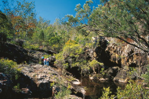 Kroombit Tops National Park - Accommodation Port Macquarie 0