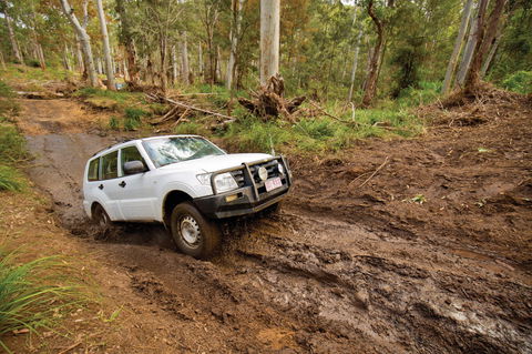 Kroombit Tops National Park - Accommodation Port Macquarie 1