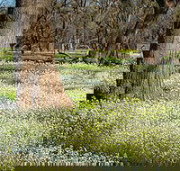 Leaghur State Park - Accommodation Port Macquarie