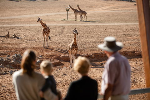 Monarto Safari Park - Accommodation Port Macquarie 0