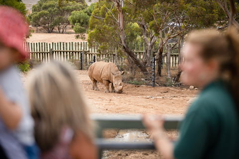 Monarto Safari Park - Accommodation Port Macquarie 1