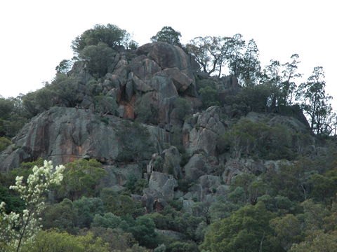 Mount Yarrowyck Nature Reserve - Accommodation Port Macquarie 0
