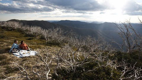 Mount Hotham - Accommodation Port Macquarie 2