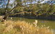 Murrumbidgee Valley National Park - thumb 0