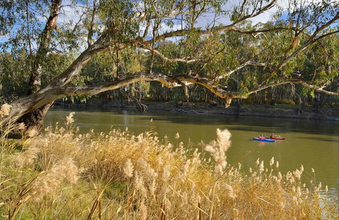 Murrumbidgee Valley National Park - Accommodation Port Macquarie 0