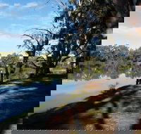 Murray River National Park - Katarapko - Accommodation Port Macquarie