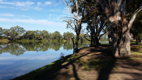 Murray River National Park - Katarapko - Accommodation Port Macquarie 0