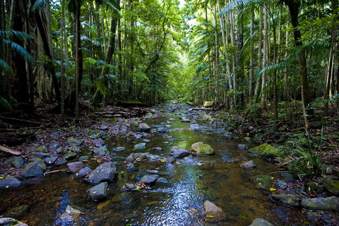 Nambucca Valley - Accommodation Port Macquarie 0