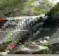 Nellies Glen Picnic Area - Accommodation Port Macquarie