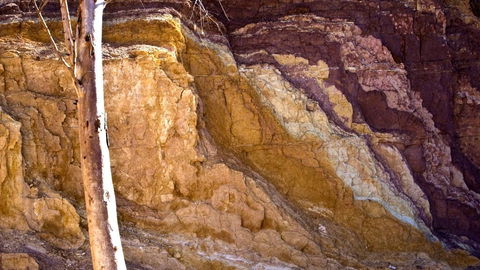 Ochre Pits - Accommodation Port Macquarie 2