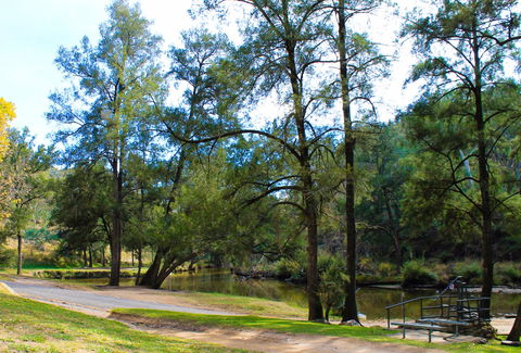 Ophir Reserve - Accommodation Port Macquarie 1
