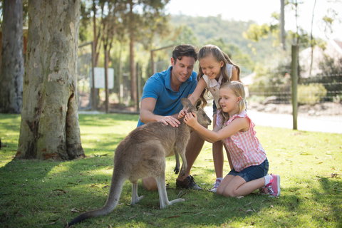 Paradise Country - Accommodation Port Macquarie 2