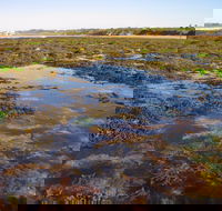 Point Danger Marine Sanctuary - Accommodation Port Macquarie