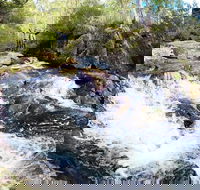 Polblue Falls - Accommodation Port Macquarie