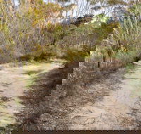 Red Rocks trig walking track - Accommodation Port Macquarie